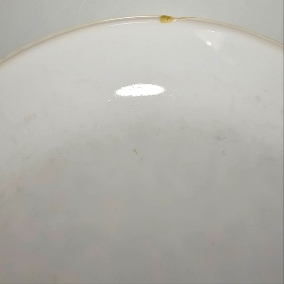 Vintage Corelle by CorningWare Indian Summer Dinner Plate Set of 2 - Picture 8 of 13